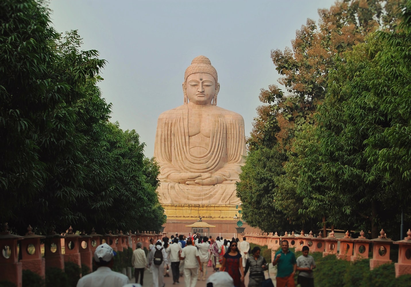 Gaya