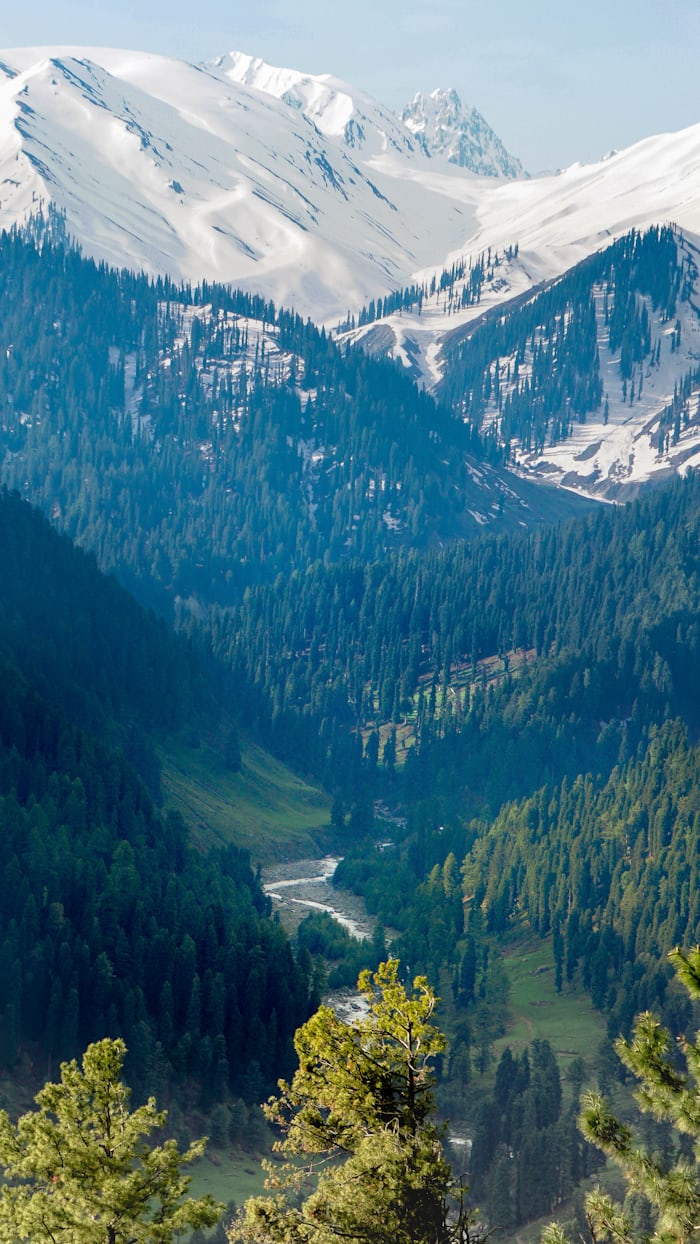 Jammu